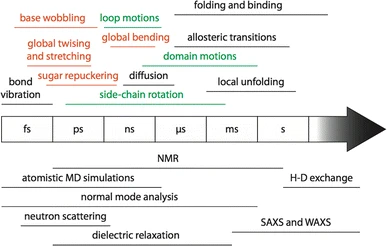 Examples of different timescales of dynamics in biomolecules. Bond vibration occurs on the fs timescale; sidechain rotation can take ps to ms; loop motions typically occur on the ns to us timescale; domain motions can take from ns to ms; folding, binding and allosteric transitions can take from us to s.